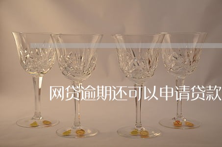 网贷逾期还可以申请贷款吗 网贷逾期还可以申请贷款吗