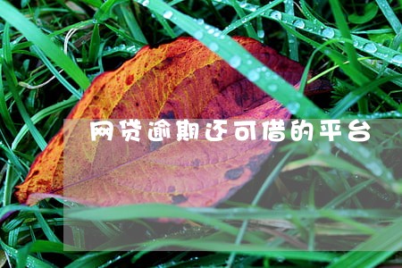 网贷逾期还可借的平台 网贷逾期还可借的平台
