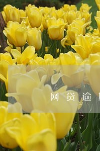 网贷逾期还后影响信誉 网贷逾期还后影响信誉