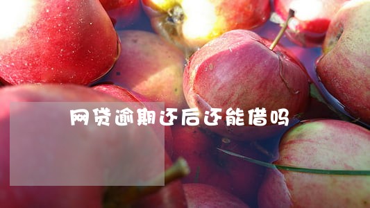 网贷逾期还后还能借吗 网贷逾期还后还能借吗