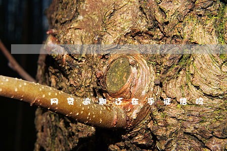网贷逾期还在乎征信吗 网贷逾期还在乎征信吗