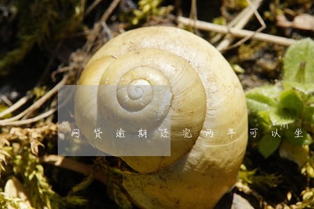 网贷逾期还完两年可以坐飞机么 网贷逾期还完两年可以坐飞机么