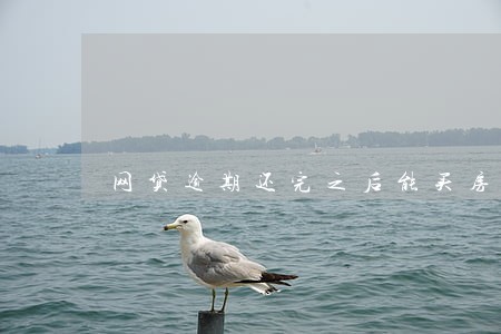 网贷逾期还完之后能买房嘛 网贷逾期还完之后能买房嘛