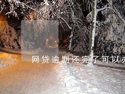 网贷逾期还完了可以办信用卡吗 网贷逾期还完了可以办信用卡吗