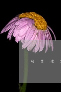 网贷逾期还完了可以消除