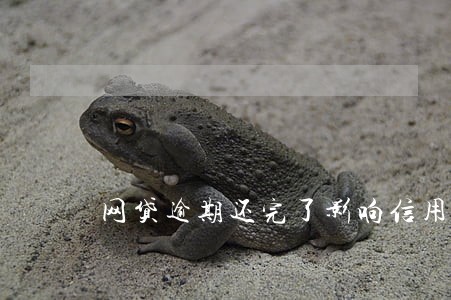 网贷逾期还完了影响信用卡吗 网贷逾期还完了影响信用卡吗