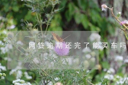 网贷逾期还完了能买车吗 网贷逾期还完了能买车吗