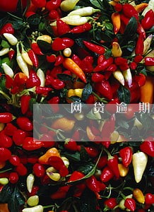 网贷逾期还完后还群发通讯录 网贷逾期还完后还群发通讯录