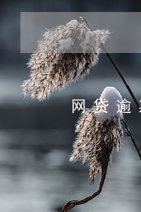 网贷逾期还完多久会恢复信誉度