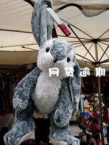 网贷逾期还完还要交催收费吗 网贷逾期还完还要交催收费吗