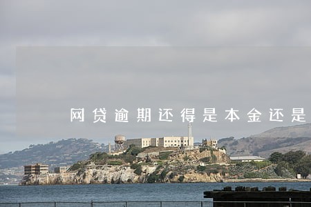 网贷逾期还得是本金还是利息 网贷逾期还得是本金还是利息