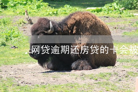网贷逾期还房贷的卡会被冻结吗 网贷逾期还房贷的卡会被冻结吗