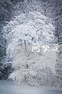 网贷逾期还是纯白户吗 网贷逾期还是纯白户吗