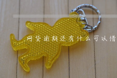 网贷逾期还有什么可以借 网贷逾期还有什么可以借