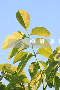 网贷逾期还有什么可以贷款 网贷逾期还有什么可以贷款