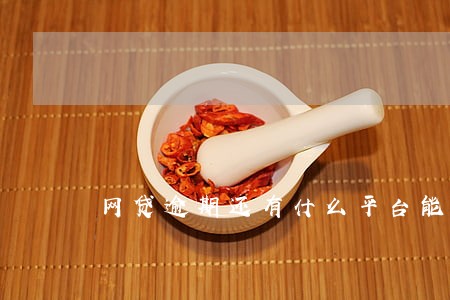 网贷逾期还有什么平台能贷的 网贷逾期还有什么平台能贷的
