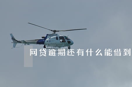 网贷逾期还有什么能借到钱