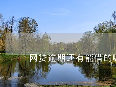 网贷逾期还有能借的嘛 网贷逾期还有能借的嘛