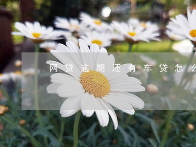 网贷逾期还有车贷怎么办 网贷逾期还有车贷怎么办