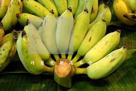 网贷逾期还本金 网贷逾期还本金