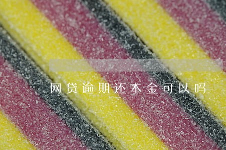网贷逾期还本金可以吗 网贷逾期还本金可以吗
