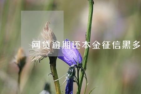 网贷逾期还本金征信黑多久 网贷逾期还本金征信黑多久