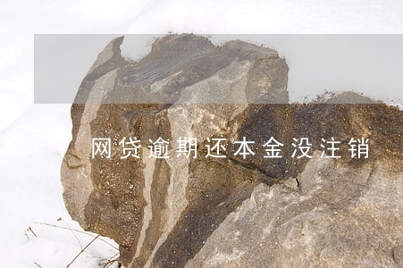 网贷逾期还本金没注销 网贷逾期还本金没注销