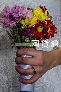 网贷逾期还本金靠谱 网贷逾期还本金靠谱