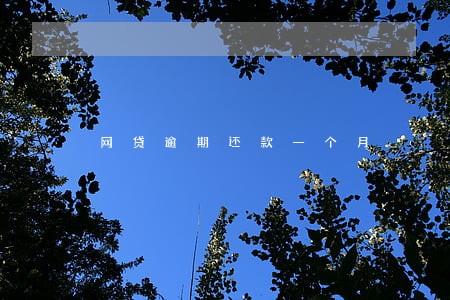 网贷逾期还款一个月 网贷逾期还款一个月
