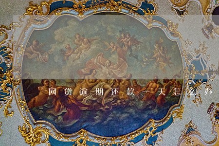 网贷逾期还款一天怎么办 网贷逾期还款一天怎么办