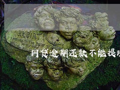 网贷逾期还款不能提现