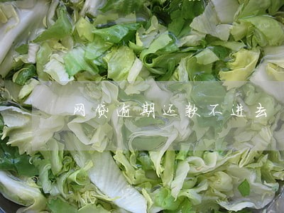 网贷逾期还款不进去 网贷逾期还款不进去