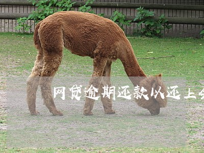 网贷逾期还款以还上会被罚吗 网贷逾期还款以还上会被罚吗