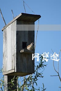 网贷逾期还款优惠 网贷逾期还款优惠
