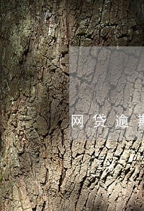 网贷逾期还款会不会影响征信 网贷逾期还款会不会影响征信