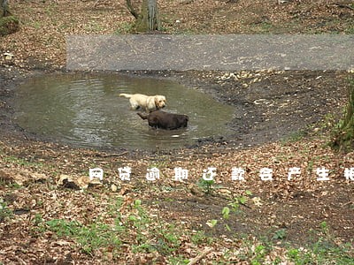 网贷逾期还款会产生相关费用 网贷逾期还款会产生相关费用
