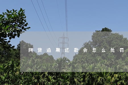 网贷逾期还款会怎么处罚