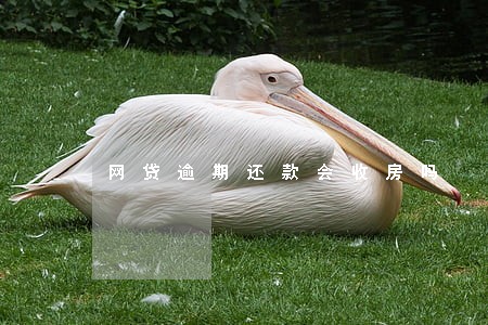 网贷逾期还款会收房吗 网贷逾期还款会收房吗
