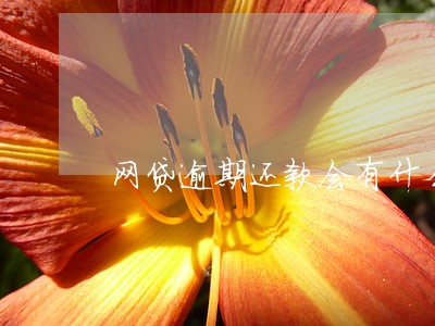 网贷逾期还款会有什么影响
