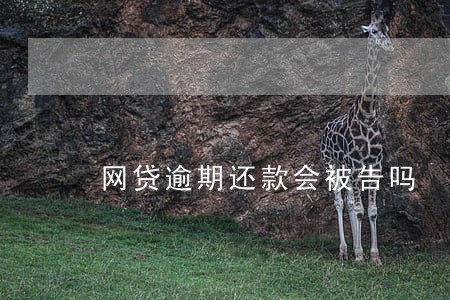 网贷逾期还款会被告吗 网贷逾期还款会被告吗