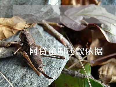 网贷逾期还款依据
