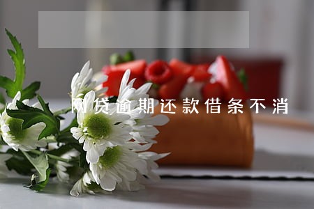 网贷逾期还款借条不消 网贷逾期还款借条不消