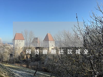 网贷逾期还款减免 网贷逾期还款减免