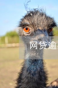 网贷逾期还款几年没被上诉 网贷逾期还款几年没被上诉