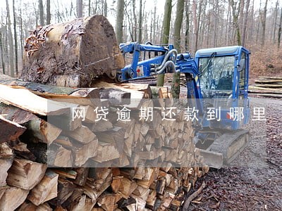 网贷逾期还款到哪里 网贷逾期还款到哪里