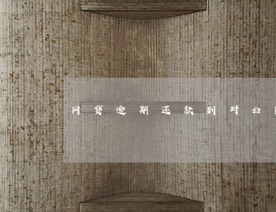 网贷逾期还款到对公账户