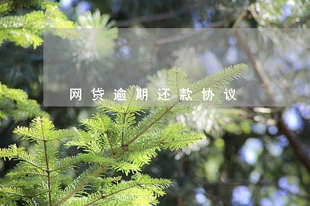 网贷逾期还款协议