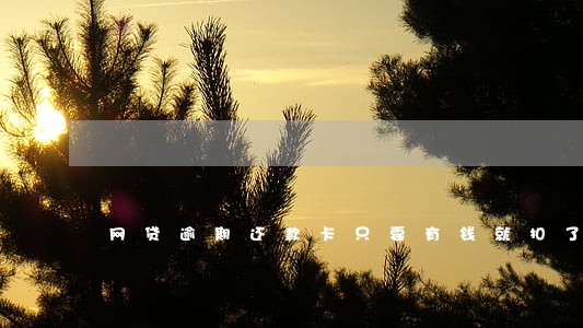 网贷逾期还款卡只要有钱就扣了 网贷逾期还款卡只要有钱就扣了