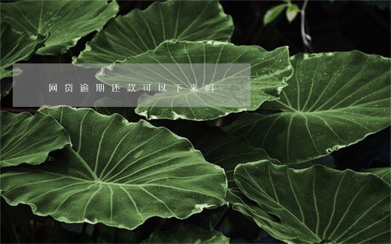 网贷逾期还款可以下来吗 网贷逾期还款可以下来吗