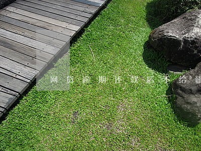 网贷逾期还款后不给证明 网贷逾期还款后不给证明